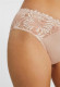 Anniversary Brief in Lotus