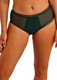 Fusion Brief in Evergreen