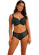 Fusion Brief in Evergreen