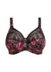 Morgan Stretch Lace Banded Underwire Bra in Dark Romance