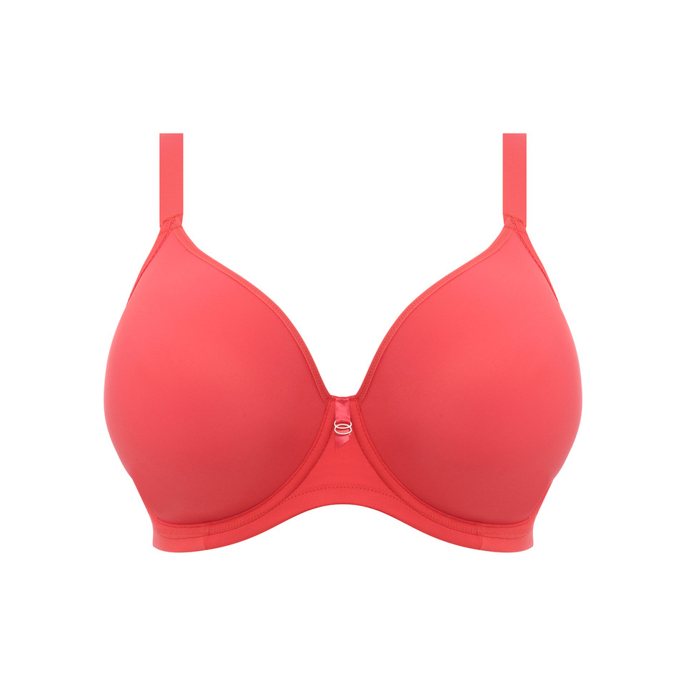 Bijou Molded Cup Bra in Cayenne (CYN) FINAL SALE (40 Off) Busted Bra