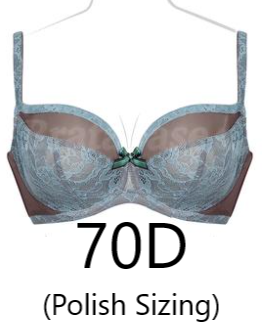 Elila Lace Softcup Bra in Blue