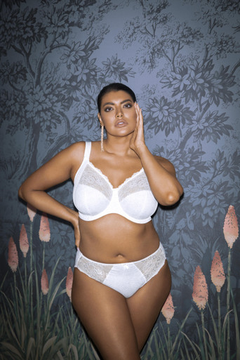 Elomi Morgan Stretch Lace Banded Underwire Bra in White (WHE)