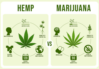 What is the Difference between Hemp & Marijuana - Hemp City