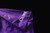 Silk Touch Performance Polo (Purple)