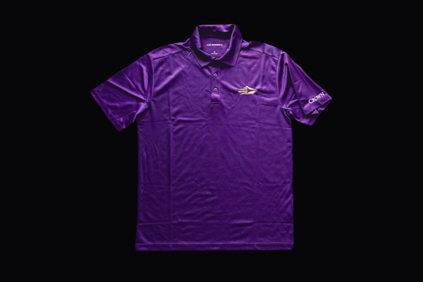 Silk Touch Performance Polo (Purple)