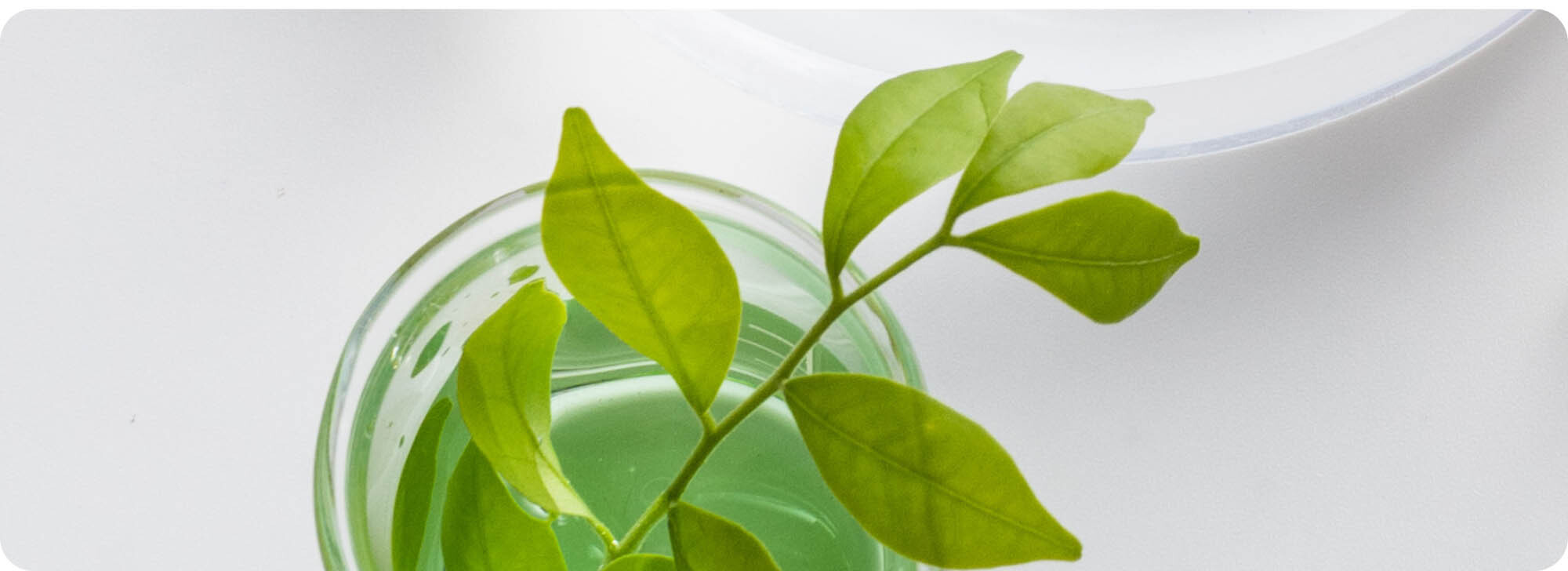 Set your sights on these.