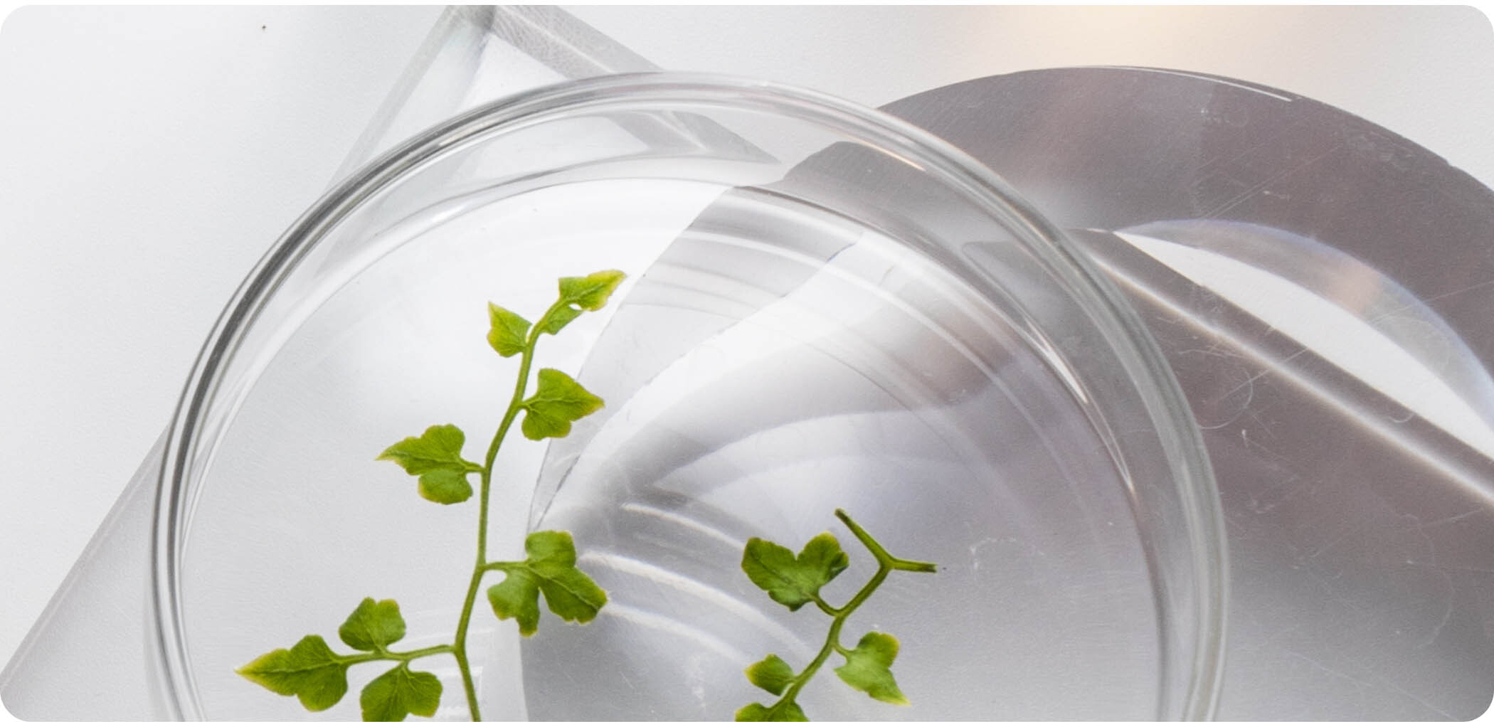 Set your sights on these.