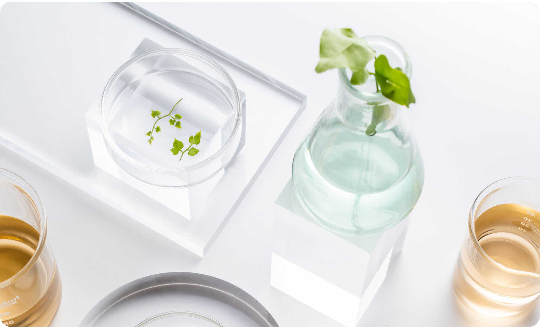 Set your sights on these.