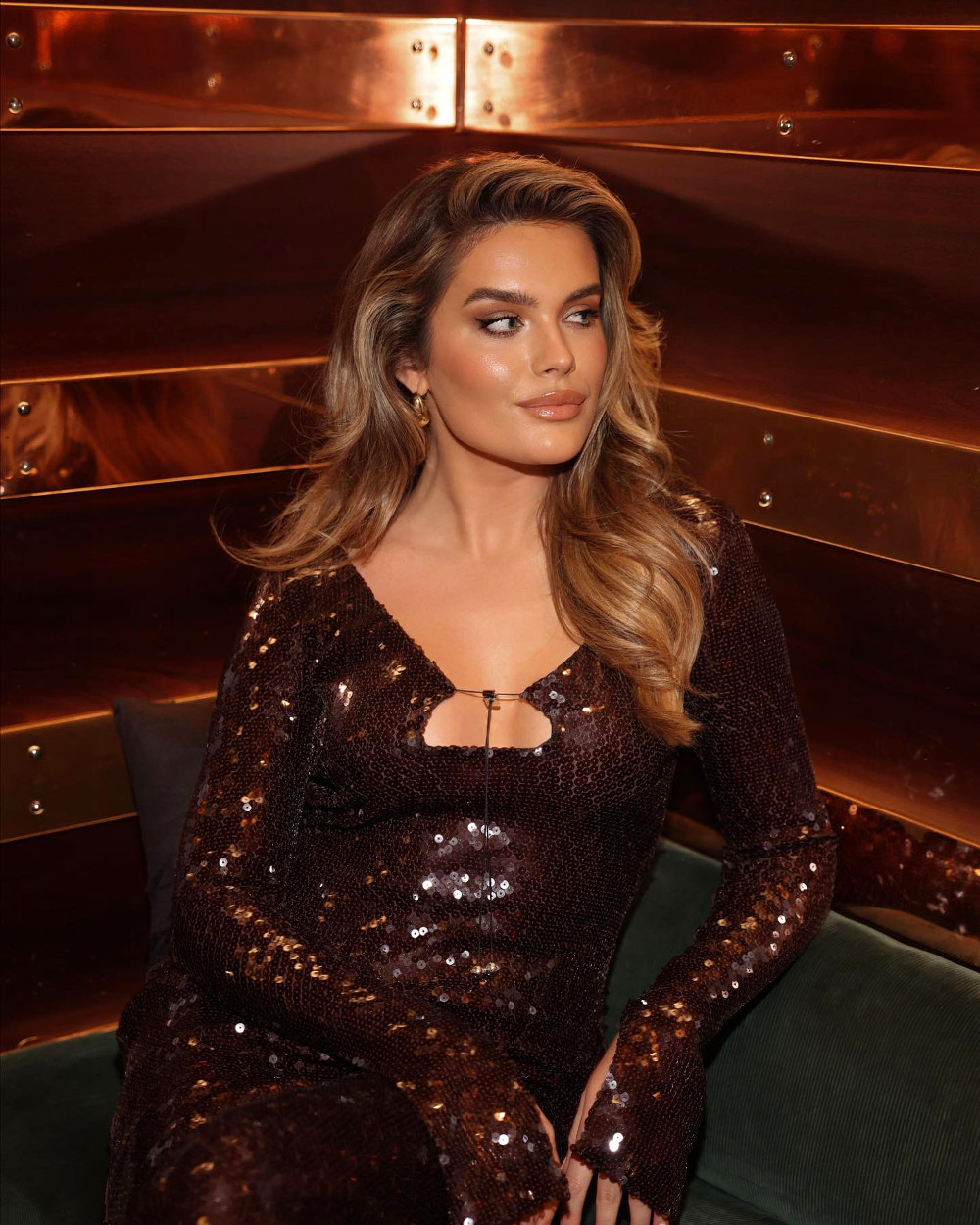 brown long sleeve sparkly dress Dream Sparkly Wedding Dress with Long Sleeves A-line Plus Size 2024 – Boom  Blush