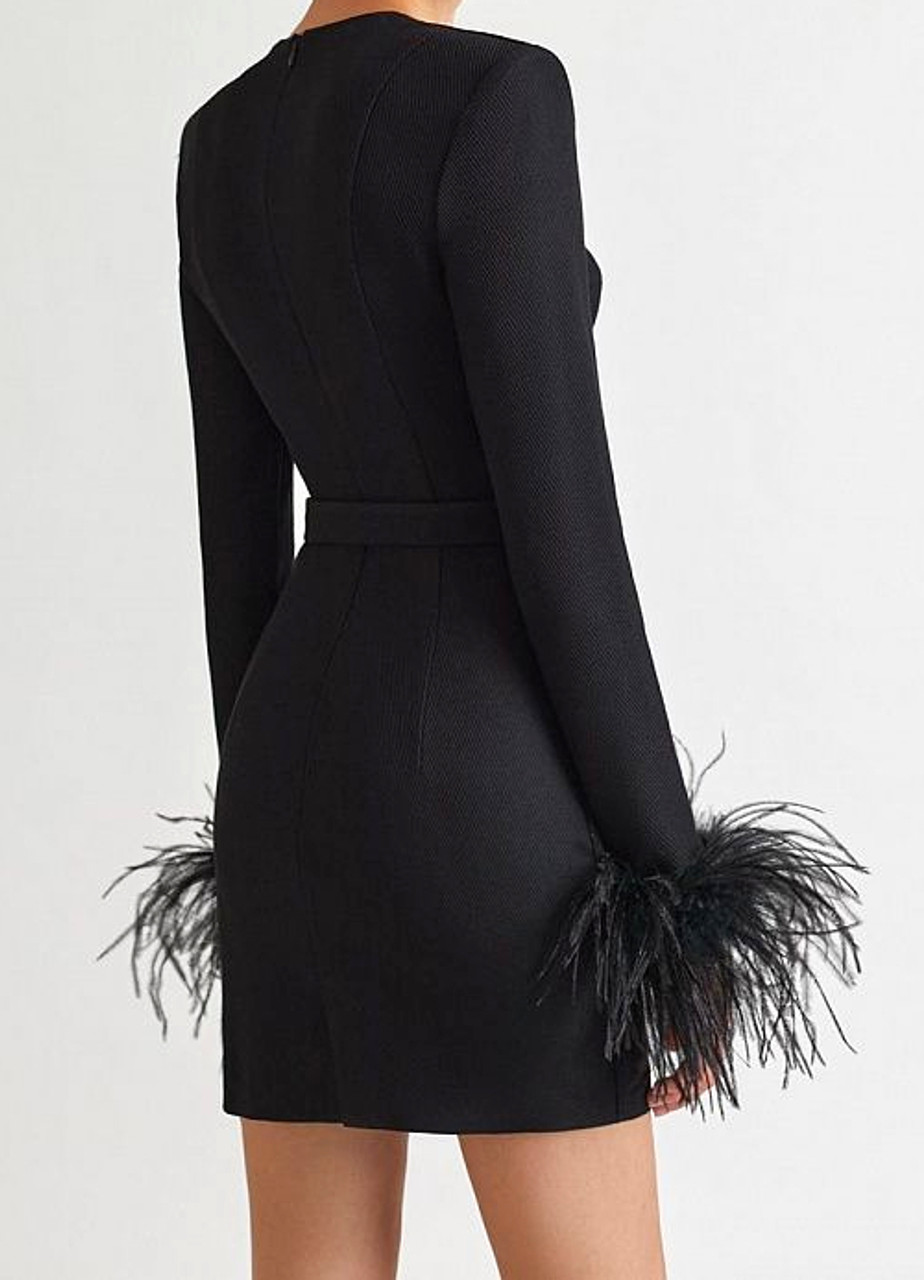 Feather Long Sleeve Bustier Dress Black - Luxe Long Sleeve Dresses and Luxe  Party Dresses