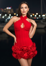 Halter Lace Insert Floral Dress Red