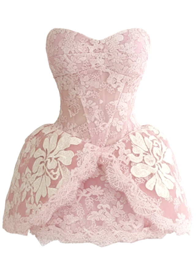 Strapless Lace A Line Dress Pink