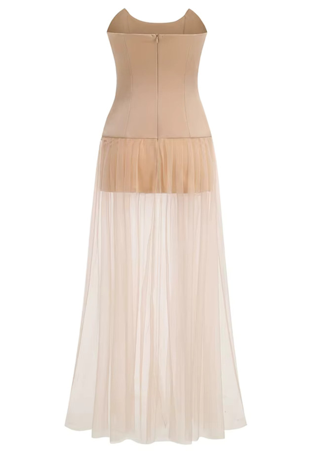 Strapless Embellished Mesh A Line Maxi Dress Nude