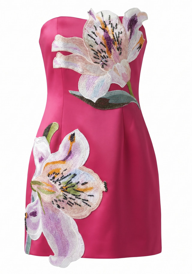 Strapless Floral Embroidered Dress Hot Pink