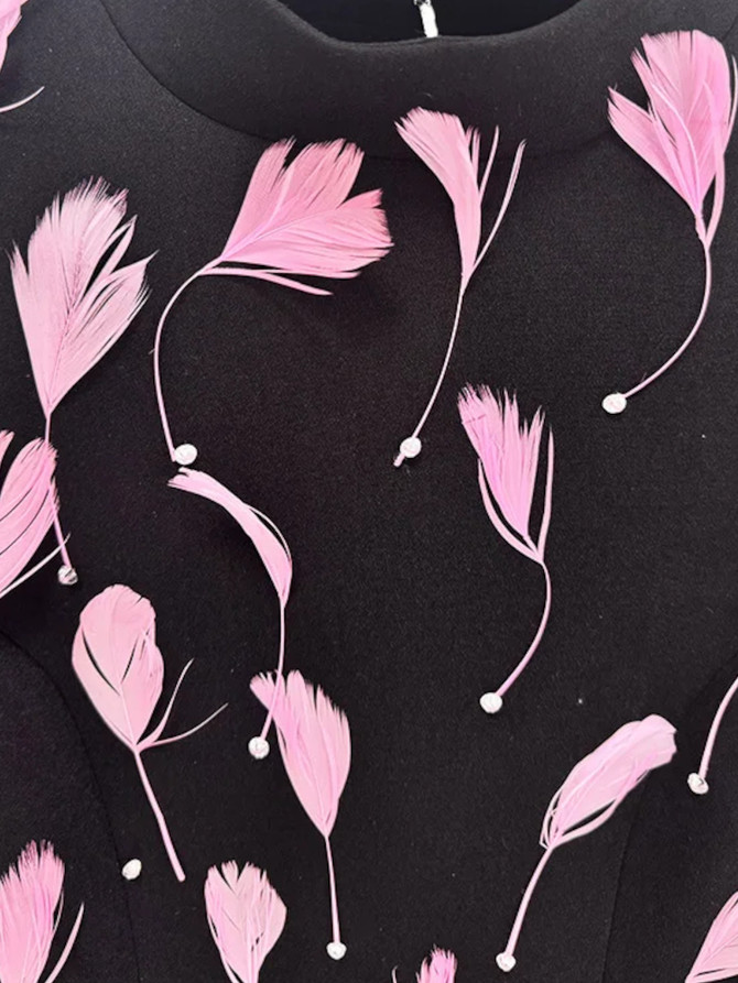 Long Sleeve Feather Backless Maxi Dress Black Pink