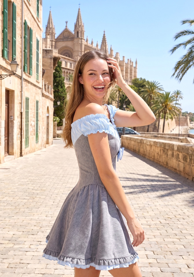 Ruched Bardot A Line Dress Grey Blue