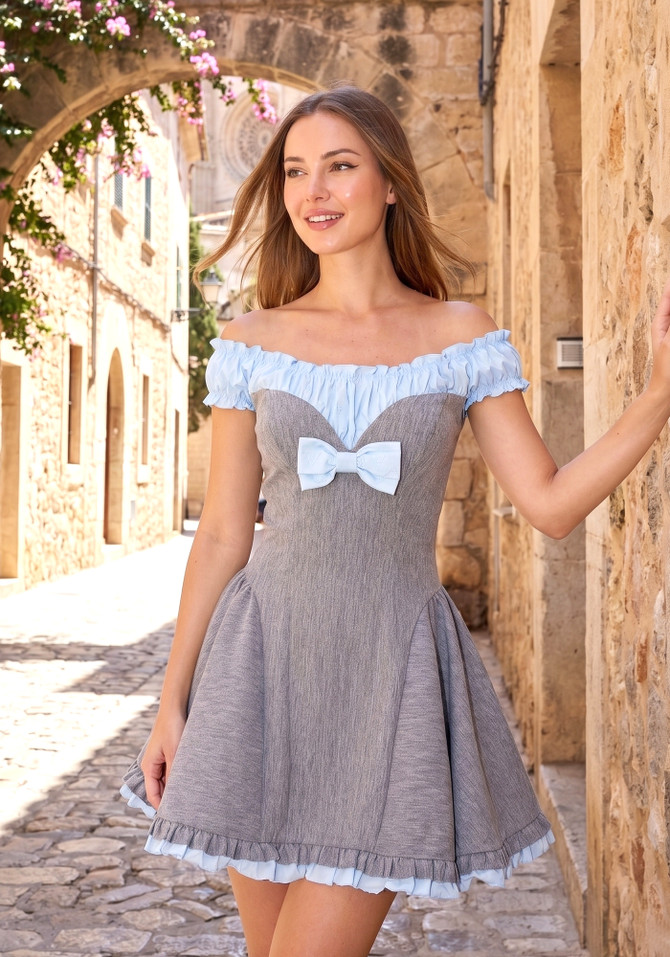 Ruched Bardot A Line Dress Grey Blue