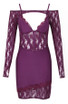 Long Sleeve Lace Corset Dress Plum