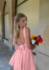 Skater Backless Bow Detail Dress Pink