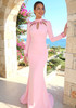 Long Sleeve Big Sequin Detail Maxi Dress Pink