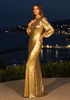Long Sleeve Crystal Neck Sequin Maxi Dress Gold