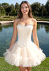 Strapless Crystal Mesh A Line Dress Ivory