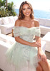Floral Mesh Bardot Lace Dress Green