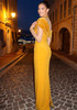 Crystal Long Sleeve Draped Maxi Dress Amber