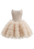 Strapless Embellished Ruffle Dress Nude