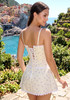Floral Lace Corset Two Piece Dress Ivory Blue