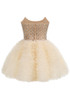 Strapless Embellished Ruffle A Line Dress Ivory