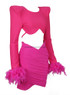 Long Sleeve Feather Draped Two Piece Dress Hot Pink