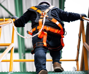Harnesses