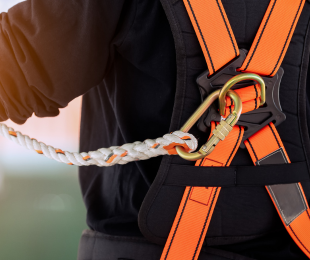 Lanyard