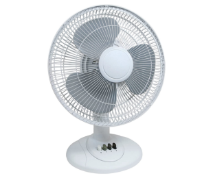 Fans
