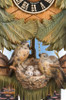 Hones | 86713-5tbu | 20''H | Nest Egg | Traditional | cuckoo clock | nest-eggs Hones | 86713-5tbu | 20''H | Nest Egg | Traditional | cuckoo clock | nest-eggs