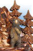 Adolf Herr | UK30 8TMT | 22 inch | Bear Mountain | Hand Carved | cuckoo clock | full view