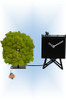 Cuckoo Clock modern style Birdwatching by Progetti