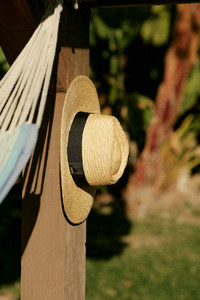 Joanna Hat 10784OP WOMEN'S HAT