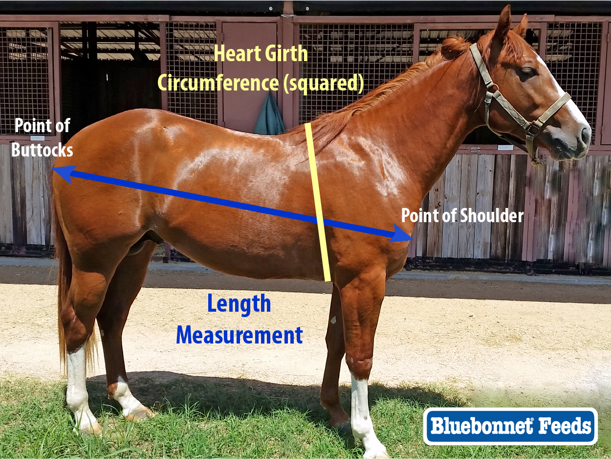 Cattle Heart Girth Weight Chart