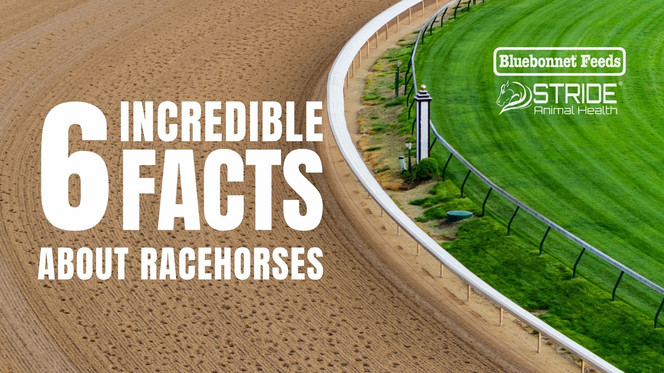 Triple Crown Fast Facts