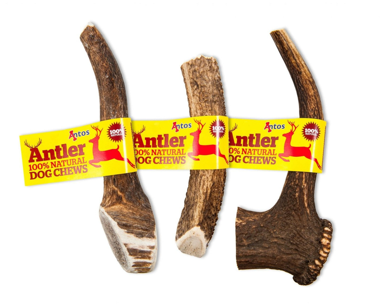 Antos antler sales dog chew