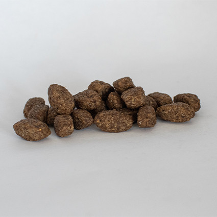 Skinners Field & Trial Duck & Rice Working Dog Food Complete Dog Food