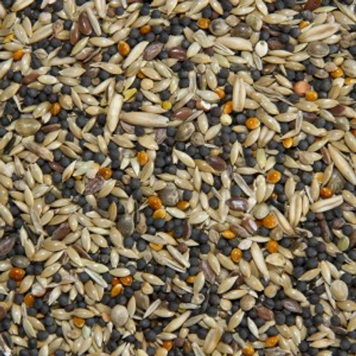 British Finch is a carefully formulated mix containing a wide variety of coarse and fine seeds that help to keep our native birds in great shape all year round. Linseed and nigerseed promote healthy skin and plumage, whilst the other protein-rich seeds support optimum condition and digestive health.