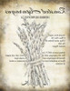 Roasted Asparagus Recipe - Antique 8x10- Image Transfers