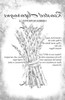 Roasted Asparagus Recipe - B&W Aged 10x16-Image Transfers
