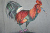 Rooster - E-Packet - Debra Welty
