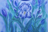 Visions of Iris - E-Packet - Debra Welty