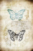 Steampunk Storybook Nightengale Image Transfer Background Paper - Teal - 10" x 16"